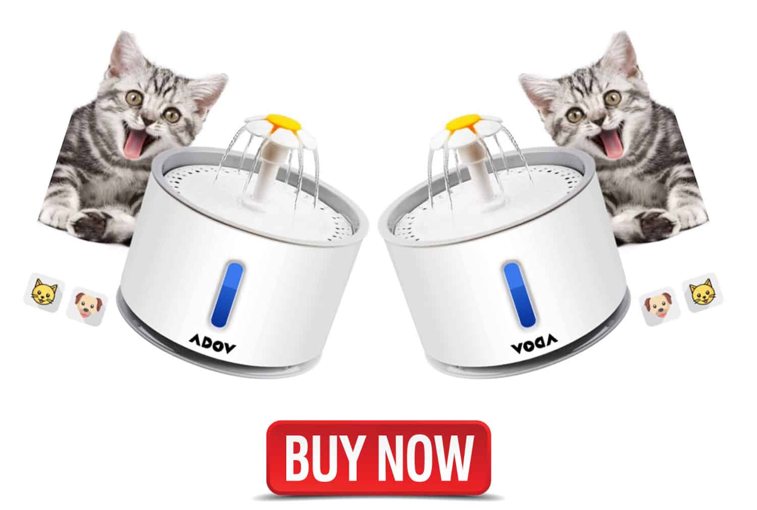 7 Best Cat Water Fountains In the UK (Reviews of 2022) Cats Fountains