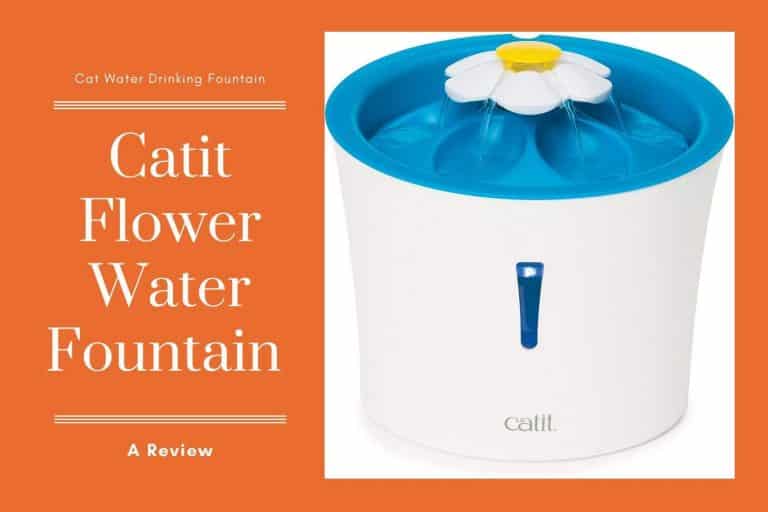 Catit Flower Water Fountain A Review Cats Fountains