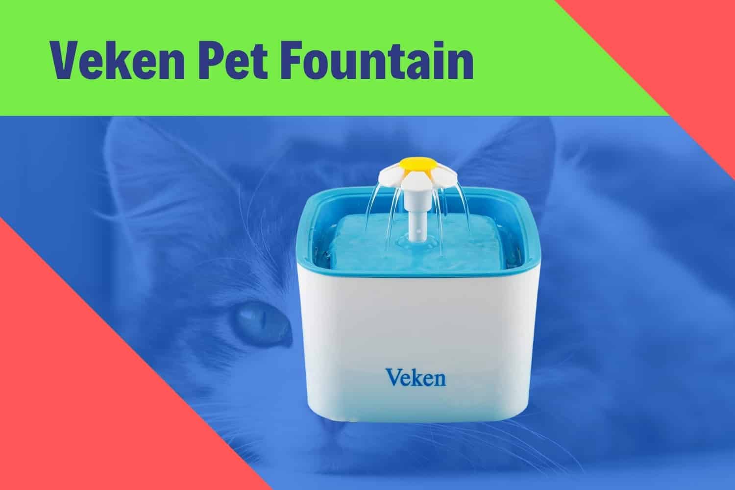 15 Vet Cat Water Fountain to Keep Feline Hydrate