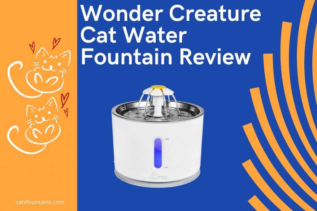 Wonder Creature Stainless Steel Cat Water Fountain Review