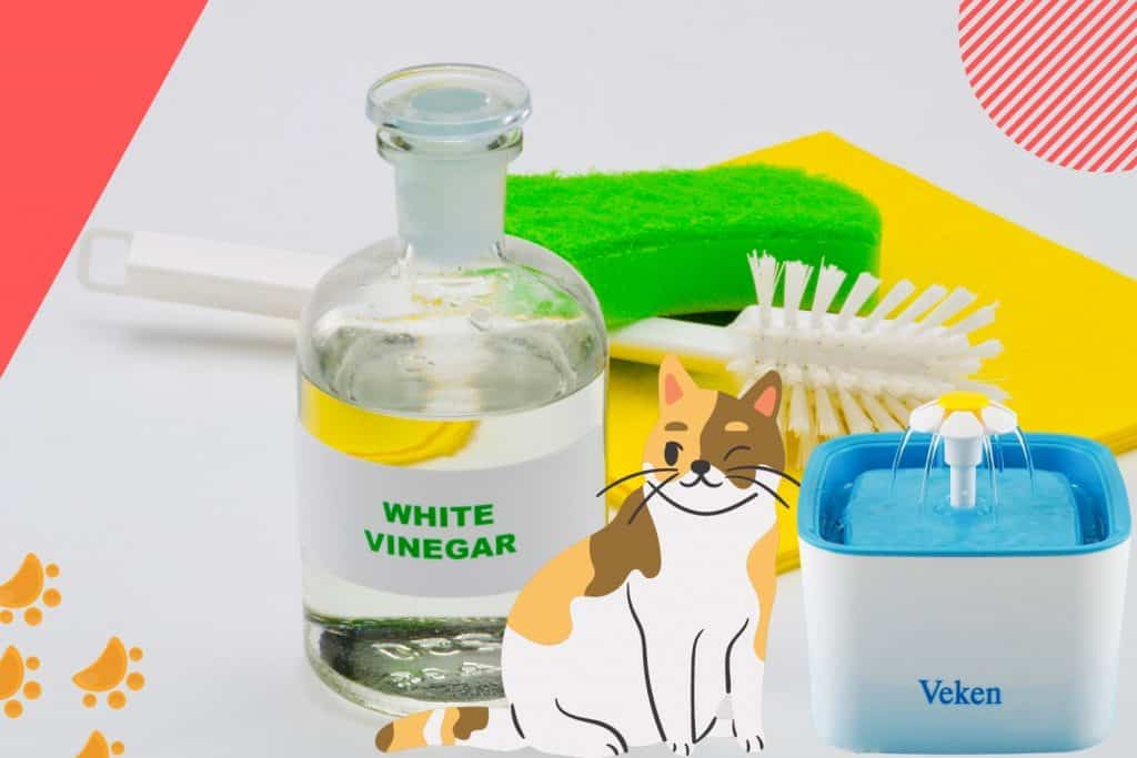 clean cat water fountain vinegar