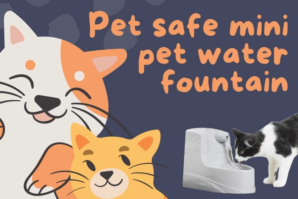 Pet safe mini pet water fountain