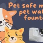 Pet safe mini pet water fountain